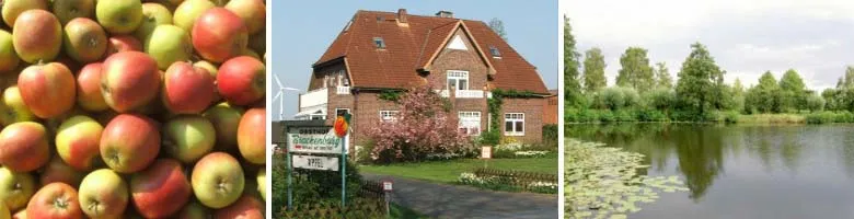 Collage von Obst und Hofansichten